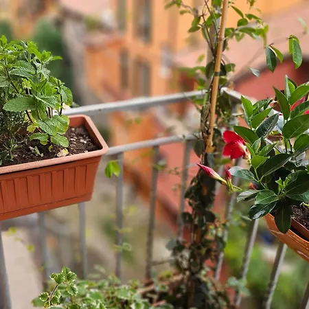 Nel Cuore Della Citta Apartament