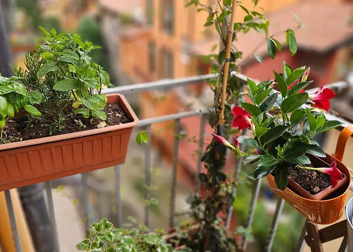 Nel Cuore Della Citta Lägenhet